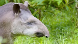 Poslední přírodní ráje (3/6)