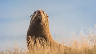 Nový Zéland - Jižní ostrov