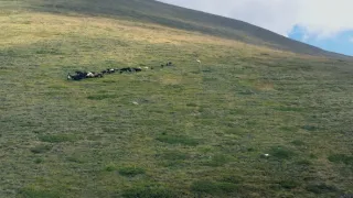 Pôvab rakúskych hôr (2/5)