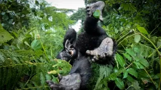 Zázračná planéta: Špióni v prírode (1/4)