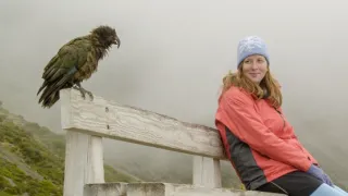 Ptačí inteligence bez hranic