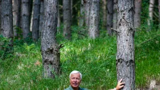 Boží dar - príbehy českých potravín (1/9)