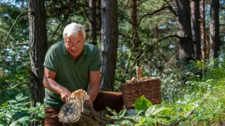 Boží dar - príbehy českých potravín (1/9)