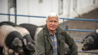 Boží dar - príbehy českých potravín (1/9)