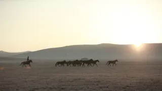 Hedvábnou cestou vstříc světu (2/3)