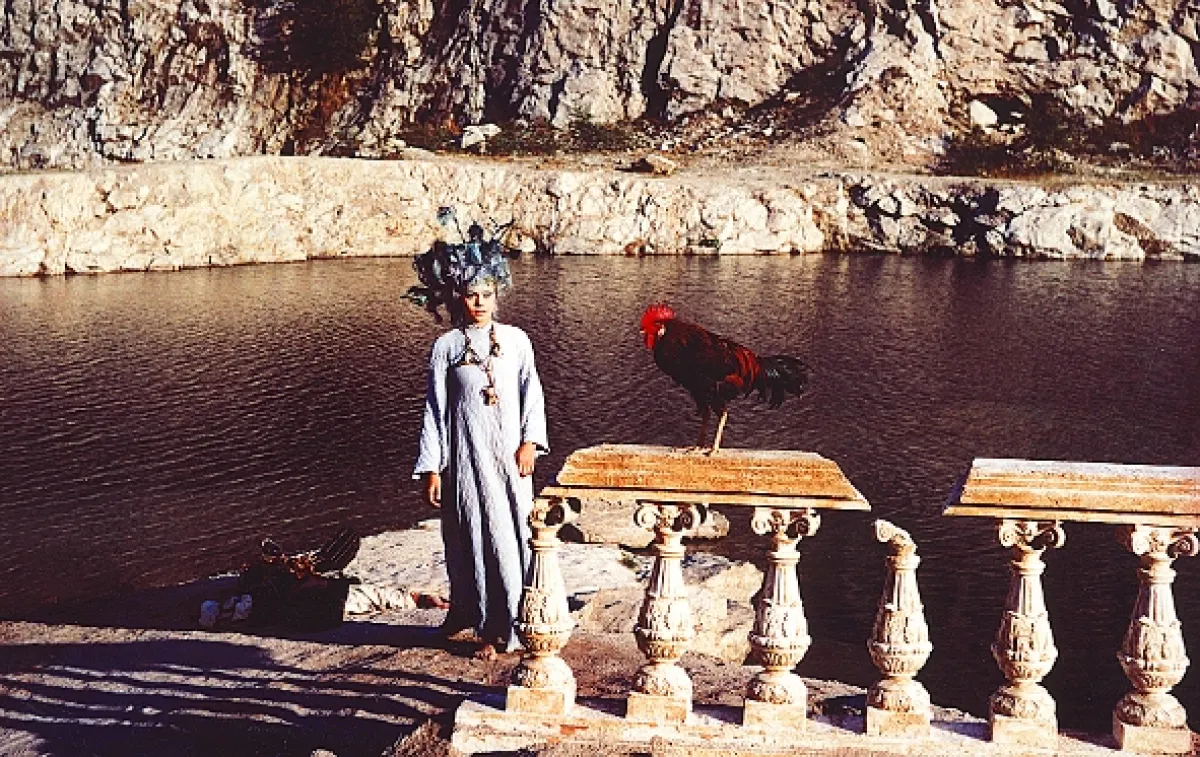 Malá mořská víla (Little Mermaid, The), 1976 - fotogaléria