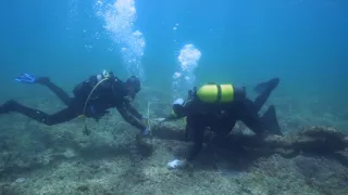 Piráti: Skutečný příběh