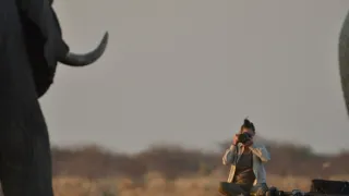 Boj o sloní trůn