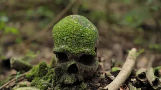 Vanuatu, príbeh z konca sveta