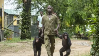 Útulek pro záchranu šimpanzů Jane Goodallové (2/6)