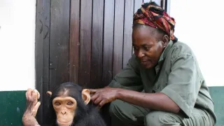 Útulek pro záchranu šimpanzů Jane Goodallové (2/6)