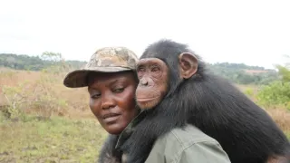 Útulek pro záchranu šimpanzů Jane Goodallové (2/6)