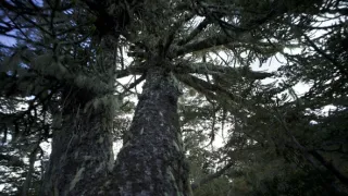 Kořeny života (3/3)