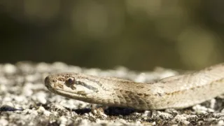 Kořeny života (3/3)