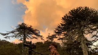 Kořeny života (3/3)