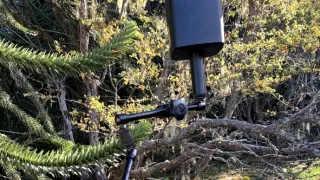 Kořeny života (3/3)