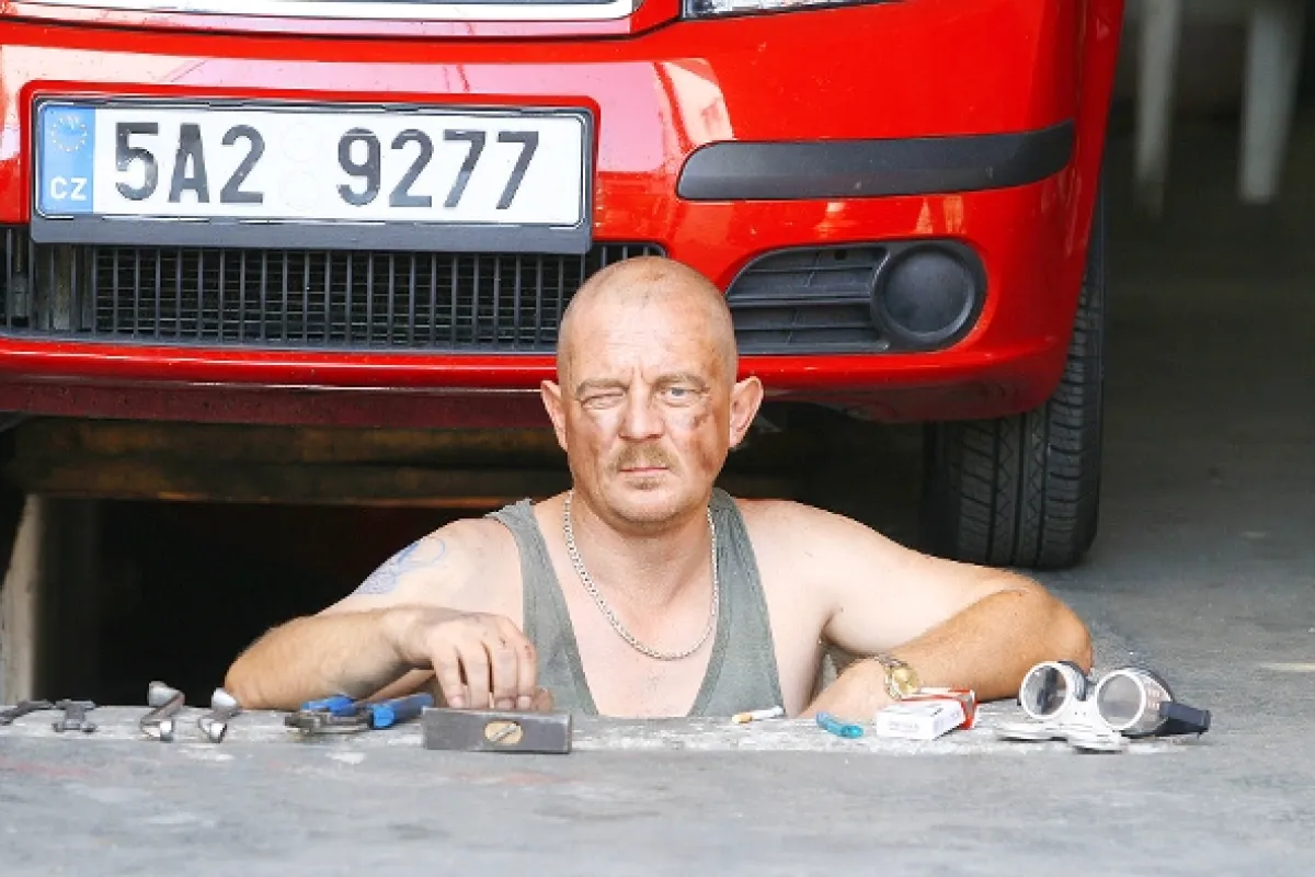 František je děvkař (FRANTISEK JE DEVKAR), 2008 - fotogaléria