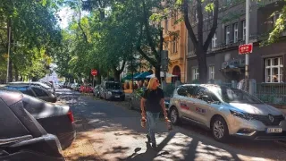 Ikony Kamila Střihavky (8/10)
