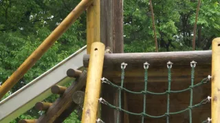 Království divočiny: Krahujec menší, Japonsko