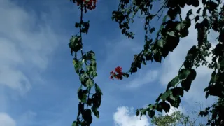 Sto divů světa (8/13)