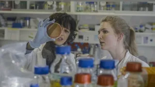 CRISPR: Genetické inženýrství
