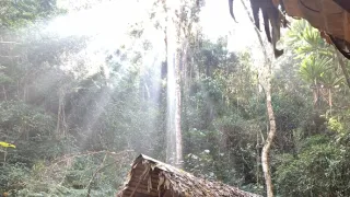 Neznámy Madagaskar (2/2)