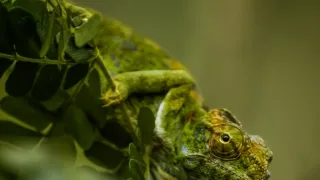 Neznámy Madagaskar (2/2)