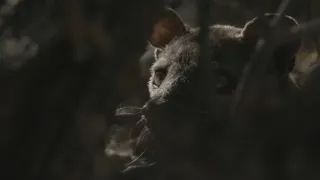Neznámy Madagaskar (2/2)