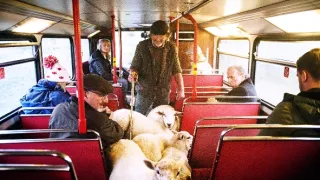 Poslední autobus