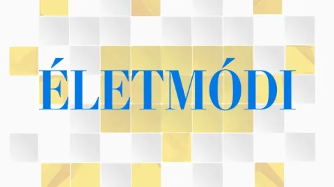 Életmódi (17)