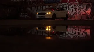 Paparazzi, lovci senzací