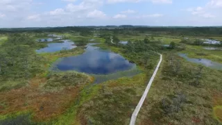 Na cestě po severu Estonska