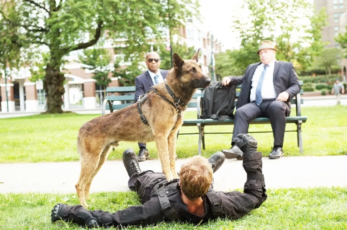 Hrdina Max 2: Chlpatý bodyguard (Max 2: White House Hero), 2017 - fotogaléria