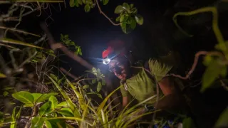 Pátranie po tajomstve Diamantovej skaly