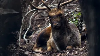 Maremma - přírodní skvost Toskánska (1/2)