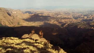 Nejdokonalejší tvorové v umění přežít (4/5)