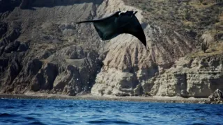 Nejdokonalejší tvorové v umění přežít (4/5)