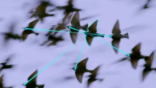 Nejdokonalejší tvorové v umění přežít (4/5)