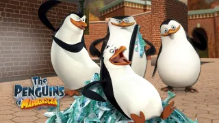 Tučňáci z Madagaskaru III (8/15)