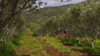 Korsika, země tradic