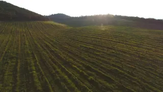 Korsika, země tradic