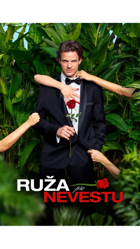 Ruža pre nevestu - fotogaléria