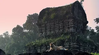 Na cestě po Quang Namu