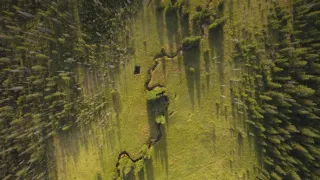 České řeky z výšky (7/10)