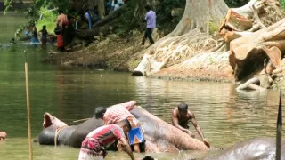 Srí Lanka, drahocenný ostrov