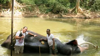 Srí Lanka, drahocenný ostrov