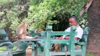 Srí Lanka, drahocenný ostrov