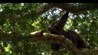 Na cestě po střední Nigérii