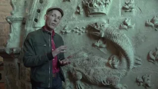 Mloky - vzor adaptability v prírode