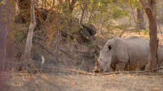 Afrika z výšky (9)